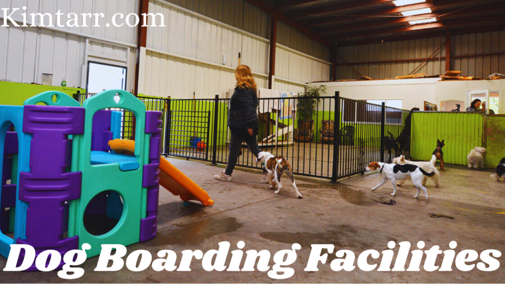 Dog Boarding facilities