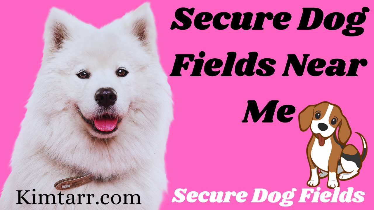 Secure Dog Fields